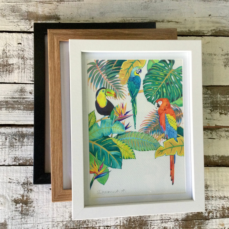 A5 Framed Prints - Parrots and Galah Collection