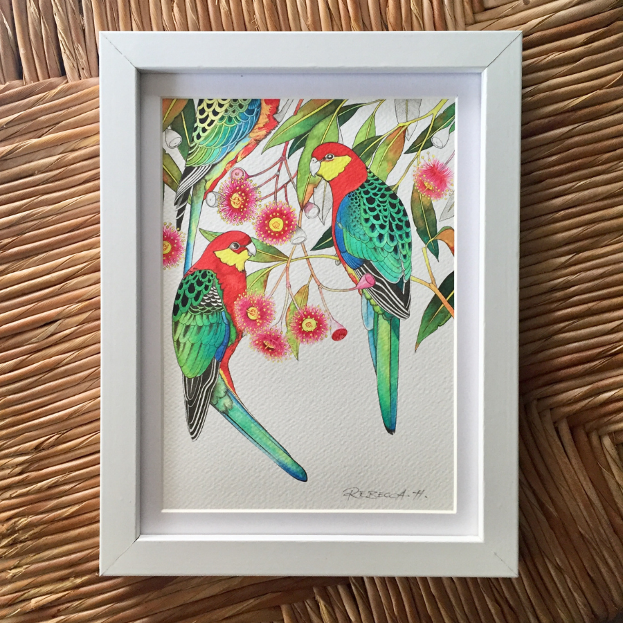 A5 Framed Prints - Parrots and Galah Collection